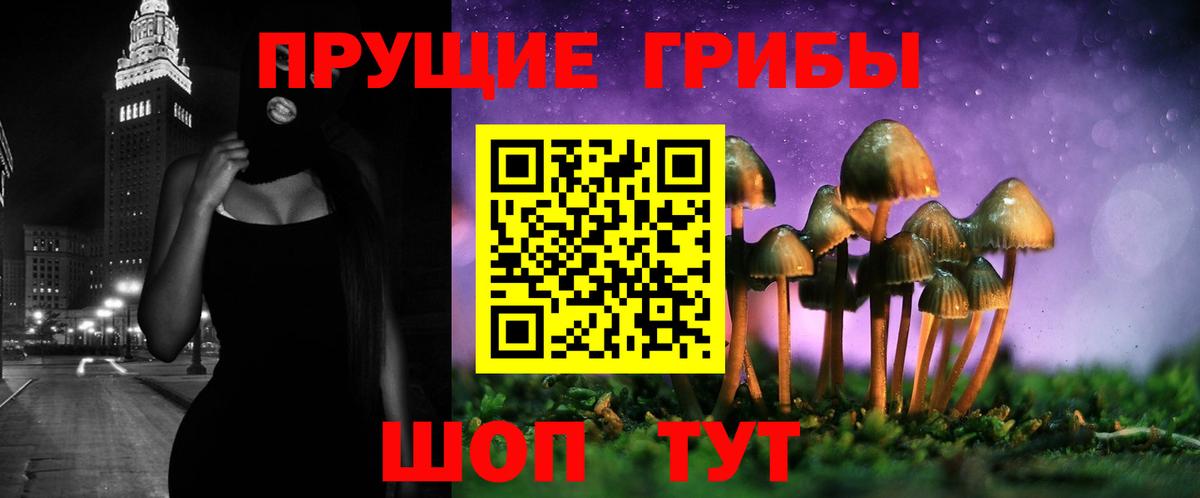 Галлюциногенные грибы MAGIC MUSHROOMS  Вход с VPN  Псилоцибиновые грибы мицелий  Скопин 